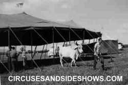 Hoxie Bros Circus 1961