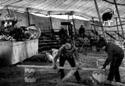 Under the Big Top (1938) setting up tent